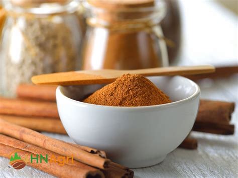 Sri Lanka Cinnamon Powder Elevate Your Cooking With Exotic Flavors