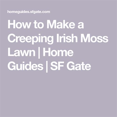 How To Make A Creeping Irish Moss Lawn Home Guides Sf Gate Moss Lawn Cottage Garden Home