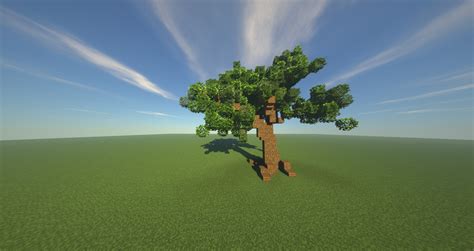 Custom Oak Tree Tutorial Map Minecraft Map