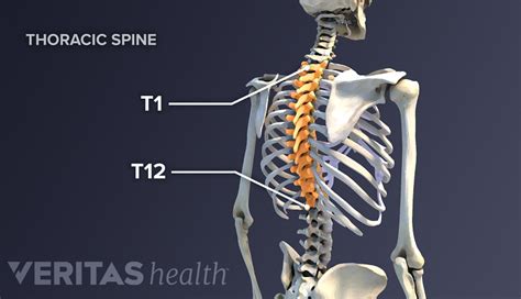 All About Upper Back Pain | Spine-health