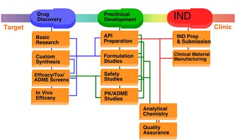 Preclinical Drug Development Stages Following Identification Of A Drug