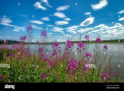 Lakes across the United States of America Stock Photo - Alamy