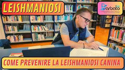 Come Prevenire La Leishmaniosi Canina Youtube