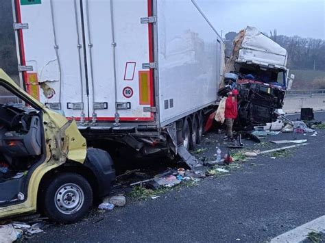 Incidente Sulla A Si Ribalta Camion Che Trasportava Cani E Gatti