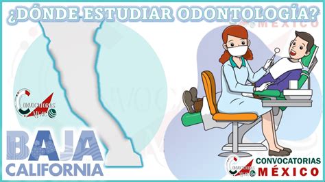 Donde Estudiar Odontolog A En Baja California Enero