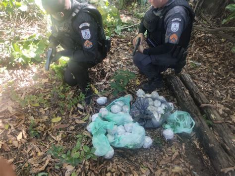 PM apreende uma carga de droga mais de 1 6 quilo de cocaína em