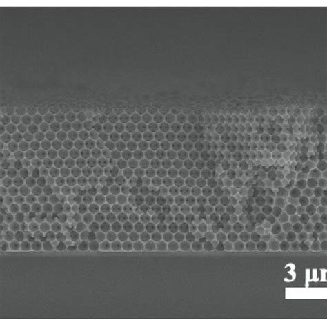 Cross Sectional Sem Images For Single Layer Inverse Opals Of A 300