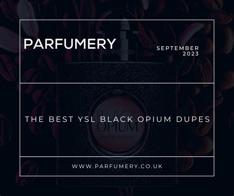 The Best Ysl Black Opium Dupes Parfumery Ltd