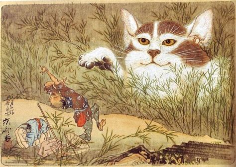 Bakeneko Supernatural Cats Qaz Japan