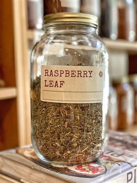 Raspberry Leaf: Herbal Infusion Delight – Allspicery