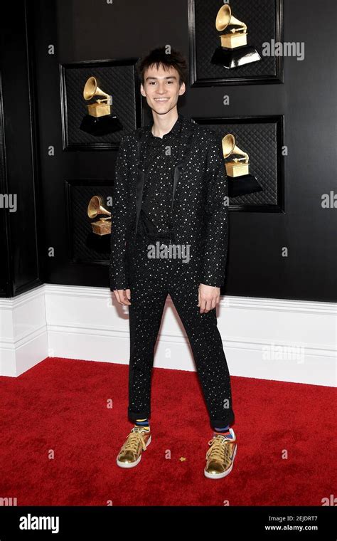 Jacob Collier arrives at the 62nd Annual Grammy Awards red carpet held ...