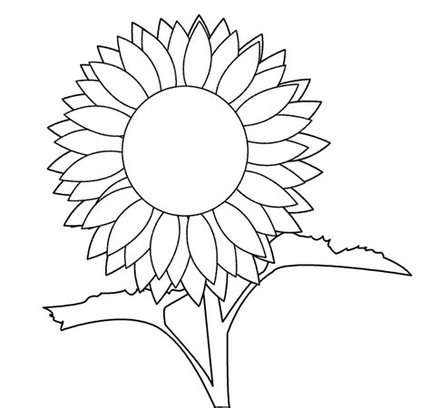 Sunflower Template Printable