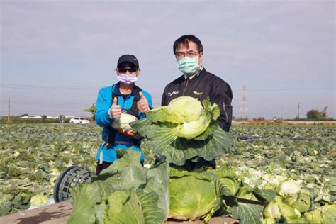 用行動挺菜農 黃偉哲邀企業認購高麗菜做公益