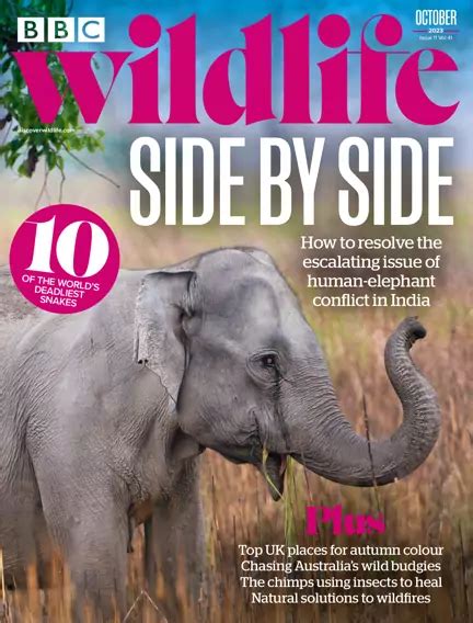 21 September 2023 - BBC Wildlife Magazine - 1000's of magazines in one app