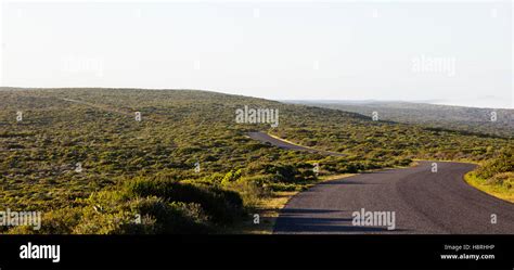 South Africa, Western Cape, West Coast National Park Stock Photo - Alamy