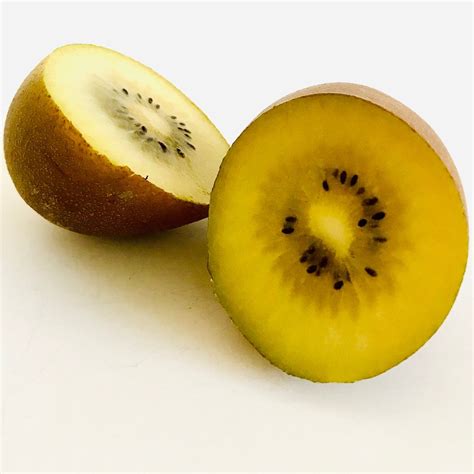 Zespri Sungold Kiwi Reviews | abillion