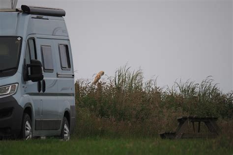 Bempton Cliffs Caravan Site - Wold Farm Caravan and Camping Site ...