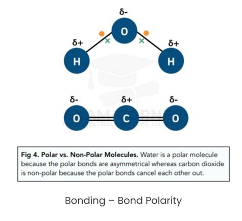 Bond Polarity – Exam-Corner