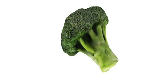 Broccoli 3d Model Turbosquid 1552539