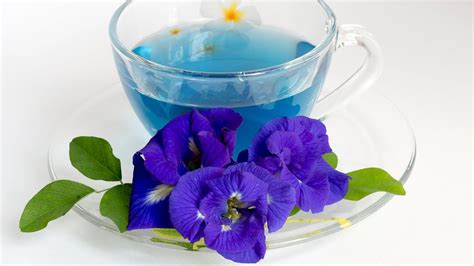 How To Make Healthy Butterfly Pea Flower Milk Tea For Antioxidants And