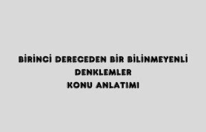 Birinci Dereceden Bir Bilinmeyenli Denklemler Konu Anlat M Niversitego