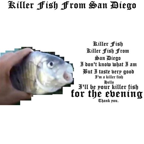 Killer Fish From San Diego | Killer Fish From San Diego | Disowned ...