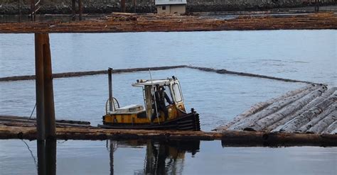 Tugboat Log Booming Free Stock Video Footage Royalty Free 4k And Hd