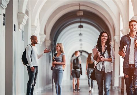 Stephen F Austin State University D2l