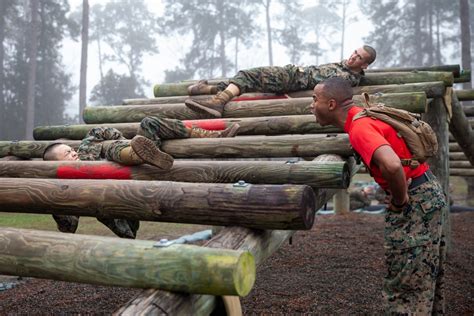 Dvids Images Delta Company Confidence Course Image Of