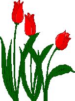 Animated tulips | Christian Animations