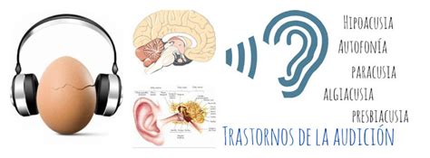 Trastornos De La Audici N Hipoacusia Autofon A Paracusia Algiacusia