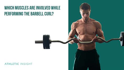 How to Do Barbell Curl: Variations, Proper Form, Techniques, Barbell ...