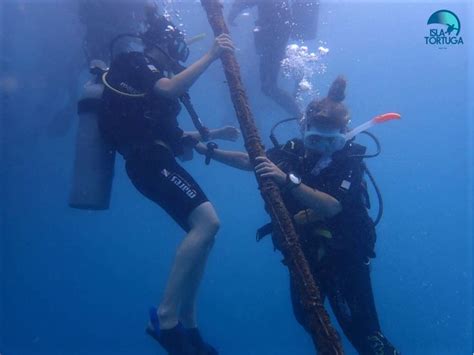 Descenso Controlado Open Water Koh Tao Thailandia Https