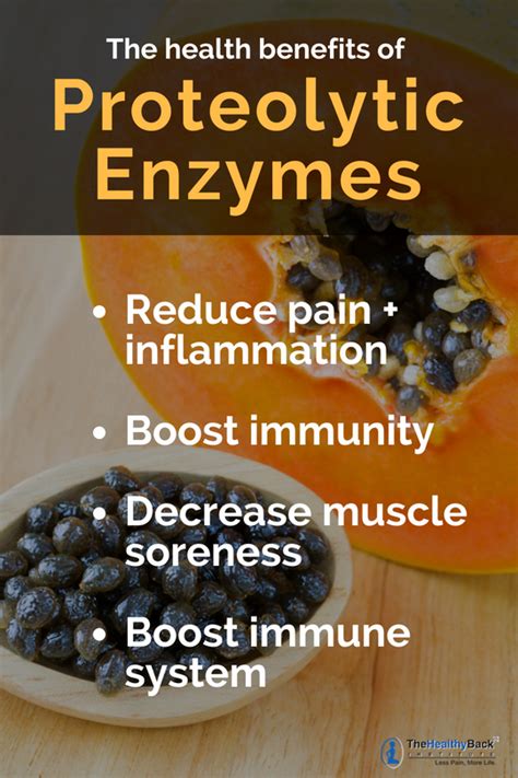 Proteolytic Enzymes How They Stop Pain And Improve Health