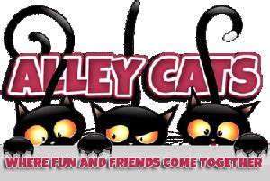 About The Alley Cats Bowling League – ALLEY CATS