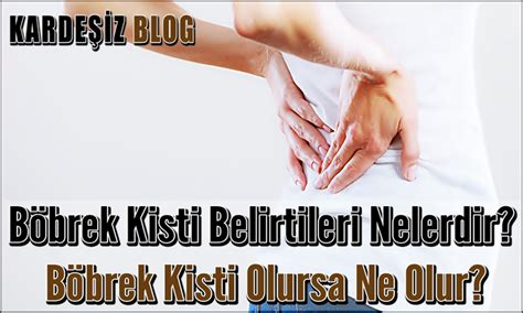 Böbrek Kisti Belirtileri Nelerdir Böbrek Kisti Olursa Ne Olur