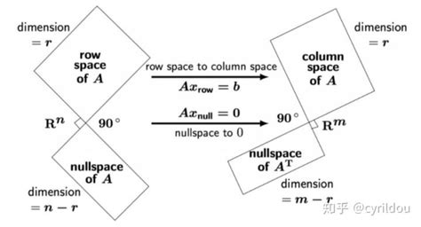 矩阵的四大基础子空间 知乎