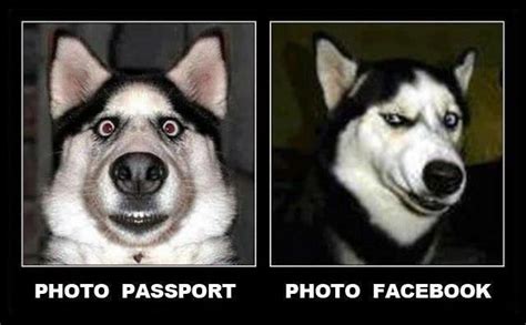 Passport And Fb Photo Passport Photo Best Funny Pictures Funny Pictures