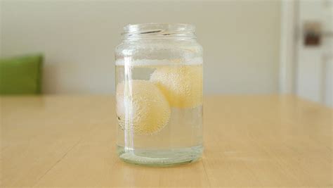 At Home Science Naked Egg Experiment