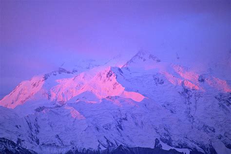 Alpenglow On Mount Mckinley Denali Photograph By Stephen Gorman Fine