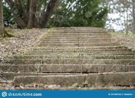 Velhas Escadas De Pedra Na Natureza Foto De Stock Imagem De Trajeto