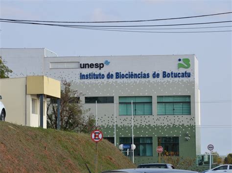 Criminosos Furtam Computadores Do Instituto De Bioci Ncias Da Unesp