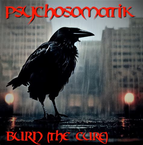 Burn (The Cure's Cover from the movie "The Crow") | PSYCHOSOMATIK