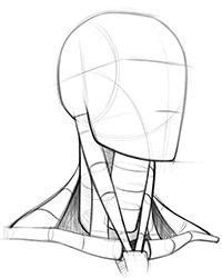 10 Neck drawing ideas | figure drawing, anatomy drawing, neck drawing