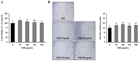 Life Free Full Text Mealworm Ethanol Extract Enhances Myogenic