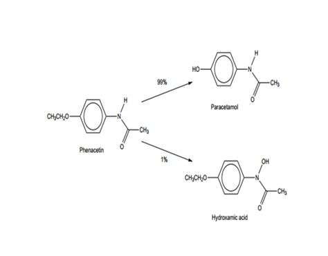 Metabolism of phenacetin (N-4-Ethoxyphenyl) ethanamide) in human body