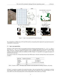 Agave Crop Segmentation And Maturity Classification With Deep Learning