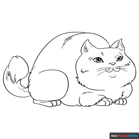 Fat Cat Coloring Page | Easy Drawing Guides