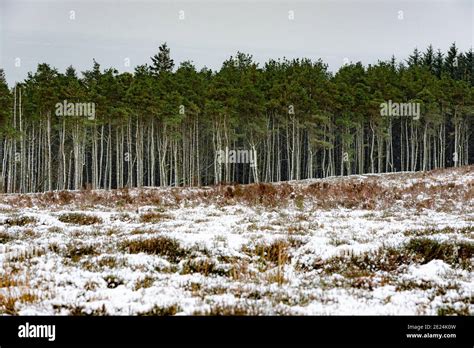 Longridge Lancashire High Resolution Stock Photography and Images - Alamy