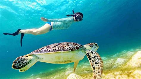 Şnorkelle yüzme (Snorkelling) nedir?